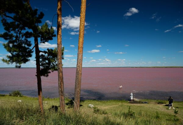 Pink and Salty: Incredible Lakes of Russia's Altai Region - Sputnik International