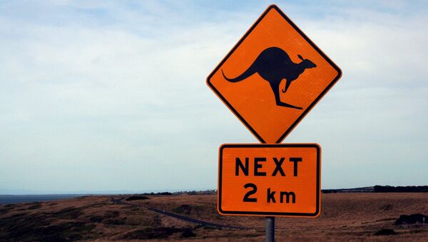 Australia road sign - Sputnik International