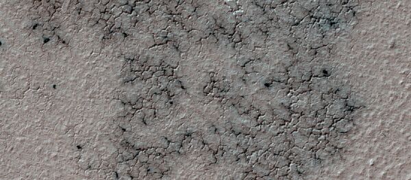 This image shows spidery channels eroded into Martian ground. It is a Sept. 12, 2016, example from HiRISE camera high-resolution observations of more than 20 places that were chosen in 2016 on the basis of about 10,000 volunteers' examination of Context Camera lower-resolution views of larger areas. This image shows spidery channels eroded into Martian ground. It is a Sept. 12, 2016, example from HiRISE camera high-resolution observations of more than 20 places that were chosen in 2016 on the basis of about 10,000 volunteers' examination of Context Camera lower-resolution views of larger areas. - Sputnik International