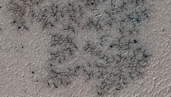 This image shows spidery channels eroded into Martian ground. It is a Sept. 12, 2016, example from HiRISE camera high-resolution observations of more than 20 places that were chosen in 2016 on the basis of about 10,000 volunteers' examination of Context Camera lower-resolution views of larger areas. - Sputnik International