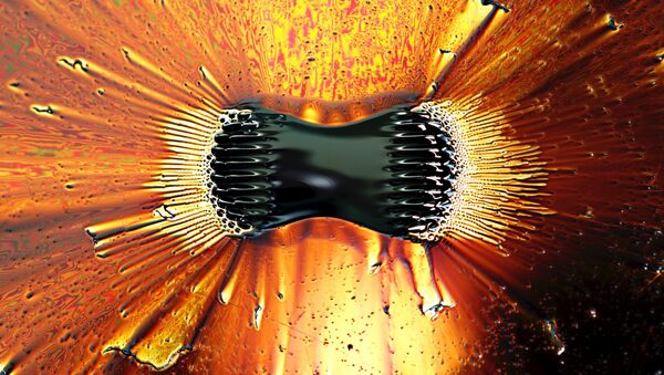 Ferrofluid collects near the poles of a powerful magnet - Sputnik International