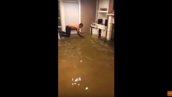 Man Dives Into Water in Flooded House to Capture Fish That Had Swam Inside - Sputnik International