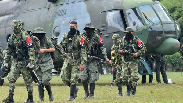 Members of the ELN (National Liberation Army) arrive in Cali, Colombia. (File) - Sputnik International