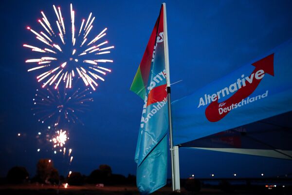 Germany's Alternative for Germany AfD party burn a private fireworks during an election campaign tour by ship on the river Rhine near Krefeld, western Germany, September 4, 2017. Germany's Alternative for Germany AfD party burn a private fireworks during an election campaign tour by ship on the river Rhine near Krefeld, western Germany, September 4, 2017. - Sputnik International
