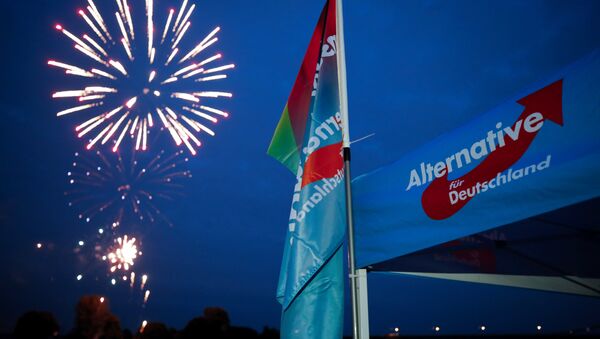 Germany's Alternative for Germany AfD party burn a private fireworks during an election campaign tour by ship on the river Rhine near Krefeld, western Germany, September 4, 2017. - Sputnik International
