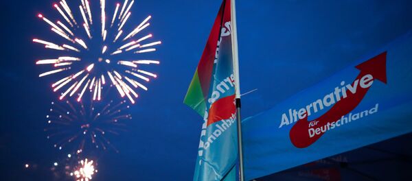 Germany's far-right Alternative for Germany AfD party burn a private fireworks during an election campaign tour by ship on the river Rhine near Krefeld, western Germany, September 4, 2017. Germany's far-right Alternative for Germany AfD party burn a private fireworks during an election campaign tour by ship on the river Rhine near Krefeld, western Germany, September 4, 2017. - Sputnik International