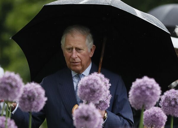 Britain's Prince Charles looks at a display of alliums during a visit to the Royal Botanic Gardens, Kew, in London, Wednesday, May 17, 2017. Britain's Prince Charles looks at a display of alliums during a visit to the Royal Botanic Gardens, Kew, in London, Wednesday, May 17, 2017. - Sputnik International