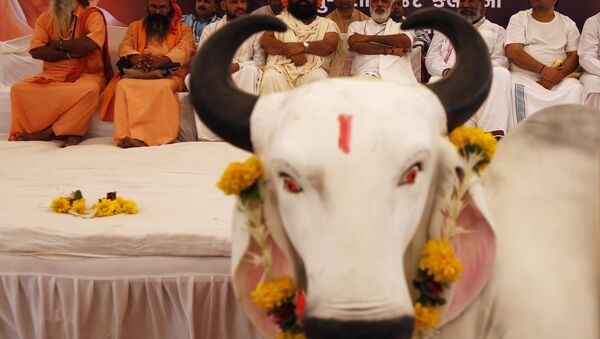 Hindu saints sit in protest against the killing of a calf by Congress party workers in the southern Indian state of Kerala, in Ahmadabad, India - Sputnik International