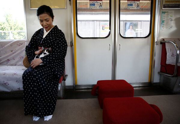 Cats on Tracks: A Ride Aboard the Japanese Feline Train Cafe - Sputnik International
