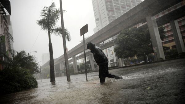 A local resident walks across a flooded street in downtown Miami as Hurricane Irma arrives at south Florida, U.S. September 10, 2017 - Sputnik International