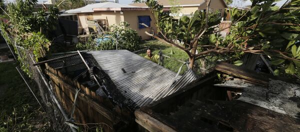 Bayardo Perez prepares to dismantle the mangled tin roof of his shed in Sweetwater, Fla., Monday, Sept. 11. - Sputnik International