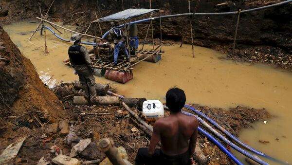 Illegal Mining in Amazon - Sputnik International