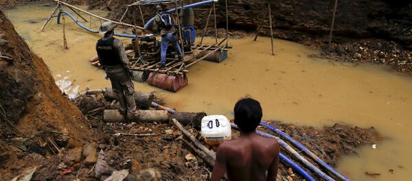 Illegal Mining in Amazon - Sputnik International