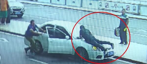 The fast and the furious: Police officer taken for ride on fleeing vehicle The fast and the furious: Police officer taken for ride on fleeing vehicle - Sputnik International