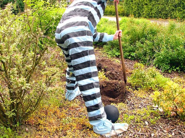 Prisoner Prisoner - Sputnik International