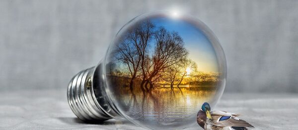 Renewable energy Renewable energy - Sputnik International