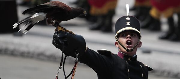 An eagle perches on a leather glove, as the handler looks up toward the president while filing past during the annual Independence Day military parade in Mexico City's main square, known as the Zocalo, Saturday, Sept. 16, 2017. Mexico is marking the 207th anniversary of its independence from Spain - Sputnik International