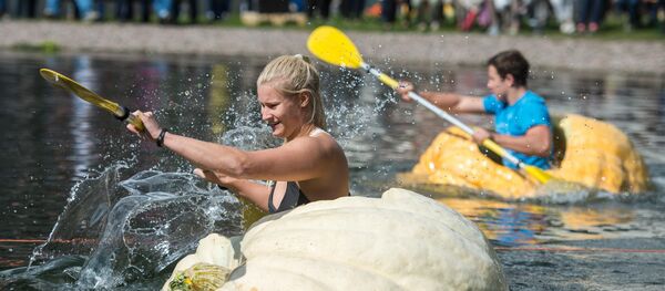 Participants paddle in hollowed out giant pumpkins during the traditional pumpkin paddling in Fambach near Schmalkalden, central Germany, on September 10, 2017 Participants paddle in hollowed out giant pumpkins during the traditional pumpkin paddling in Fambach near Schmalkalden, central Germany, on September 10, 2017 - Sputnik International