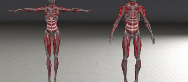 Human body Human body - Sputnik International