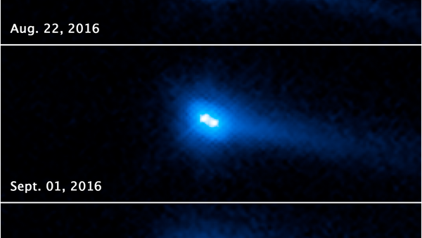 Binary Asteroid System 2006 VW139/288P - Sputnik International