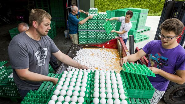 Farmers throw eggs at a poultry farm in Onstwedde, Netherlands, on August 3, 2017 after the Dutch Food and Welfare Authority (NVWA) highlighted the contamination of eggs by fipronil, a toxic insecticide outlawed from use in the production of food - Sputnik International