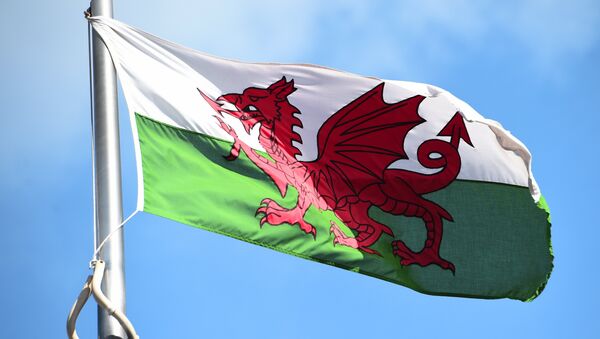 The Welsh flag flies outside the national assembly building in Cardiff on September 24, 2015. - Sputnik International