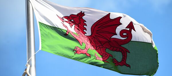 The Welsh flag flies outside the national assembly building in Cardiff on September 24, 2015. - Sputnik International