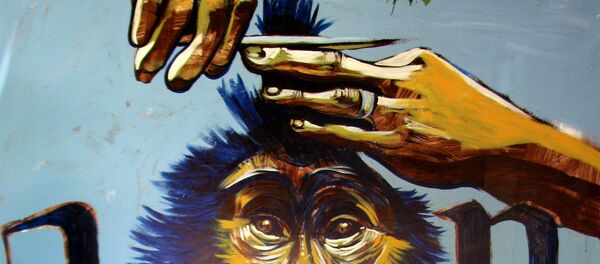 Monkey Monkey - Sputnik International