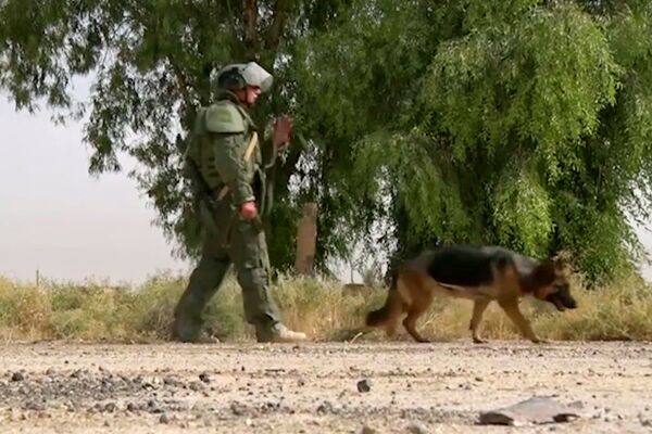 Specialist of the International Mine Action Center of the Russian Armed Forces rank during the de-mining operation in Deir ez-Zor. - Sputnik International