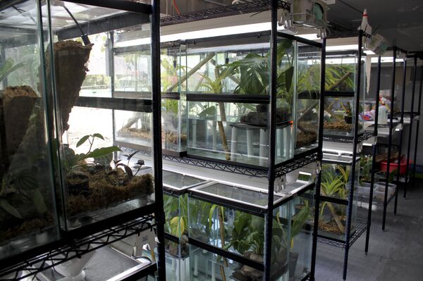 Inside an amphibian rescue pod. A real 'Amphibian Ark' Inside an amphibian rescue pod. A real 'Amphibian Ark' - Sputnik International