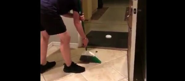 When your mom mistakes your crab for a giant spider - Sputnik International