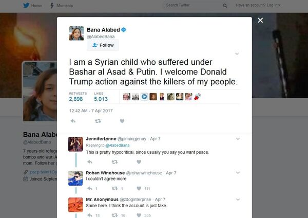 One of Bana's deleted tweets - Sputnik International