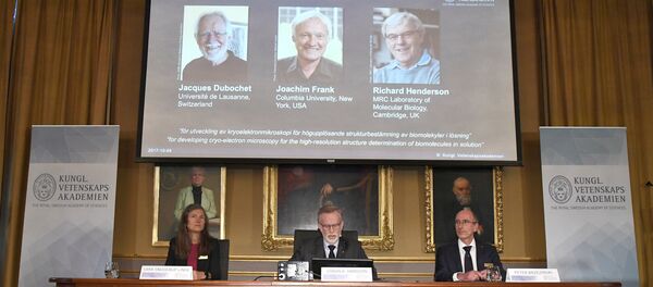 Gunnar von Heijne (C), Secretary of the Nobel Committee for Chemistry 2017, Sara Snogerup Linse, Chair of the Nobel Committee for Chemistry 2017 and Peter Brzezinski, Professor of Biochemistry, announce the winners of the 2017 Nobel Prize in Chemistry during a press conference in Stockholm, Sweden, October 4, 2017 - Sputnik International