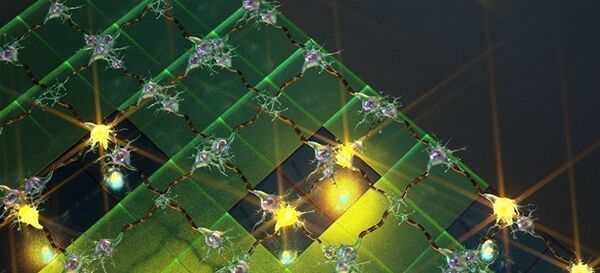 Neural network Neural network - Sputnik International