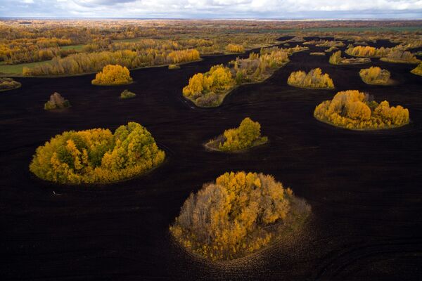 Beautiful Landscapes of Siberia in Fall - Sputnik International