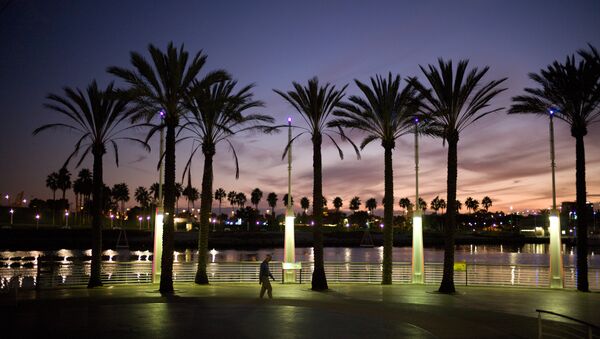 Palm Trees California - Sputnik International
