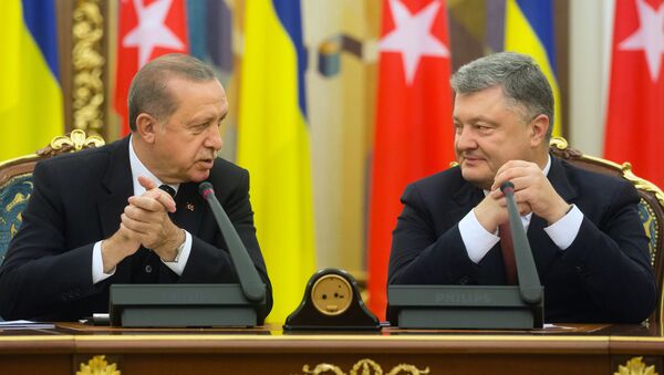 President of Turkey Recep Tayyip Erdogan (left) and President of Ukraine Petro Poroshenko during their meeting in Kiev - Sputnik International