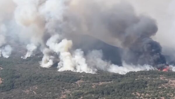Wildfires in California - Sputnik International