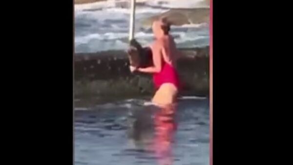 Melissa Hatheier filmed wrestling shark in Cronulla ocean pool - Sputnik International