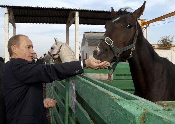 Putin's Love of Animals Through His Presidential Career - Sputnik International