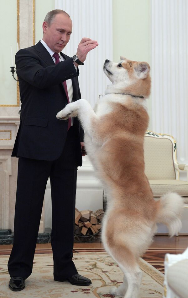 Putin's Love of Animals Through His Presidential Career - Sputnik International