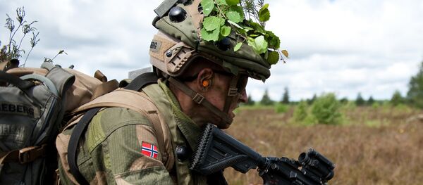 Norwegian Soldier - Sputnik International