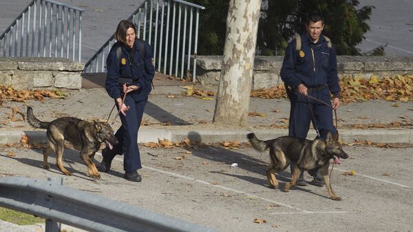 Two police officers exercise their dogs in Madrid (File) - Sputnik International