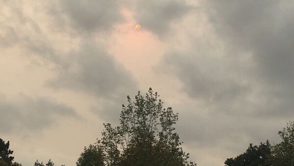The red sun is pictured over a hospital car park in north London - Sputnik International