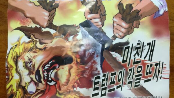 An anti-Trump leaflet believed to come from North Korea by balloon is pictured in this undated handout photo released by NK News on October 16, 2017. The text in Korean reads For the peaceful world without war and for the future of mankind (top) and Butcher a mad dog Trump! - Sputnik International