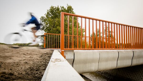 A Cyclist rides over what has been named as the world's first 3-D printed concrete bridge after its opening in Gemert, The Netherlands on October 17, 2017 - Sputnik International
