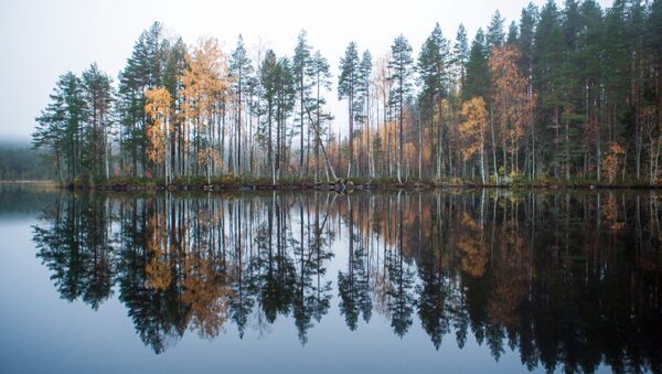 Lake Tolvayarvi in Suoyarvsky District of the Republic of Karelia - Sputnik International