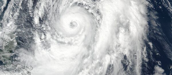 NASA-NOAA Suomi NPP satellite visible light image of Typhoon Lan on October 20 at 12:30 a.m. EDT. - Sputnik International