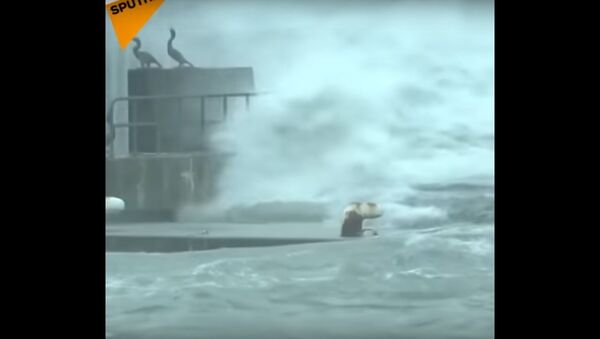Typhoon Lan Prompts Mass Evacuation In Japan - Sputnik International