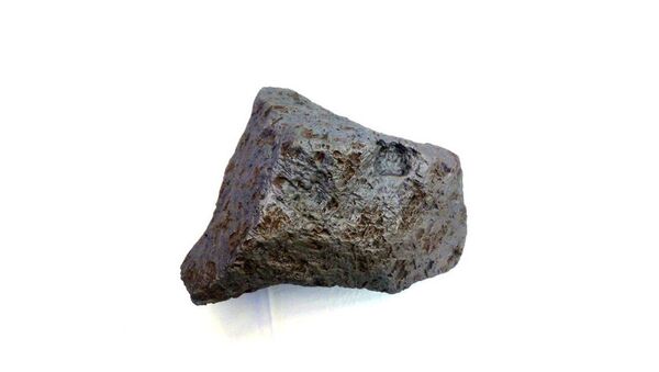 Muonionalusta meteorite specimen - Sputnik International